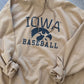 Iowa Baseball Hoodie