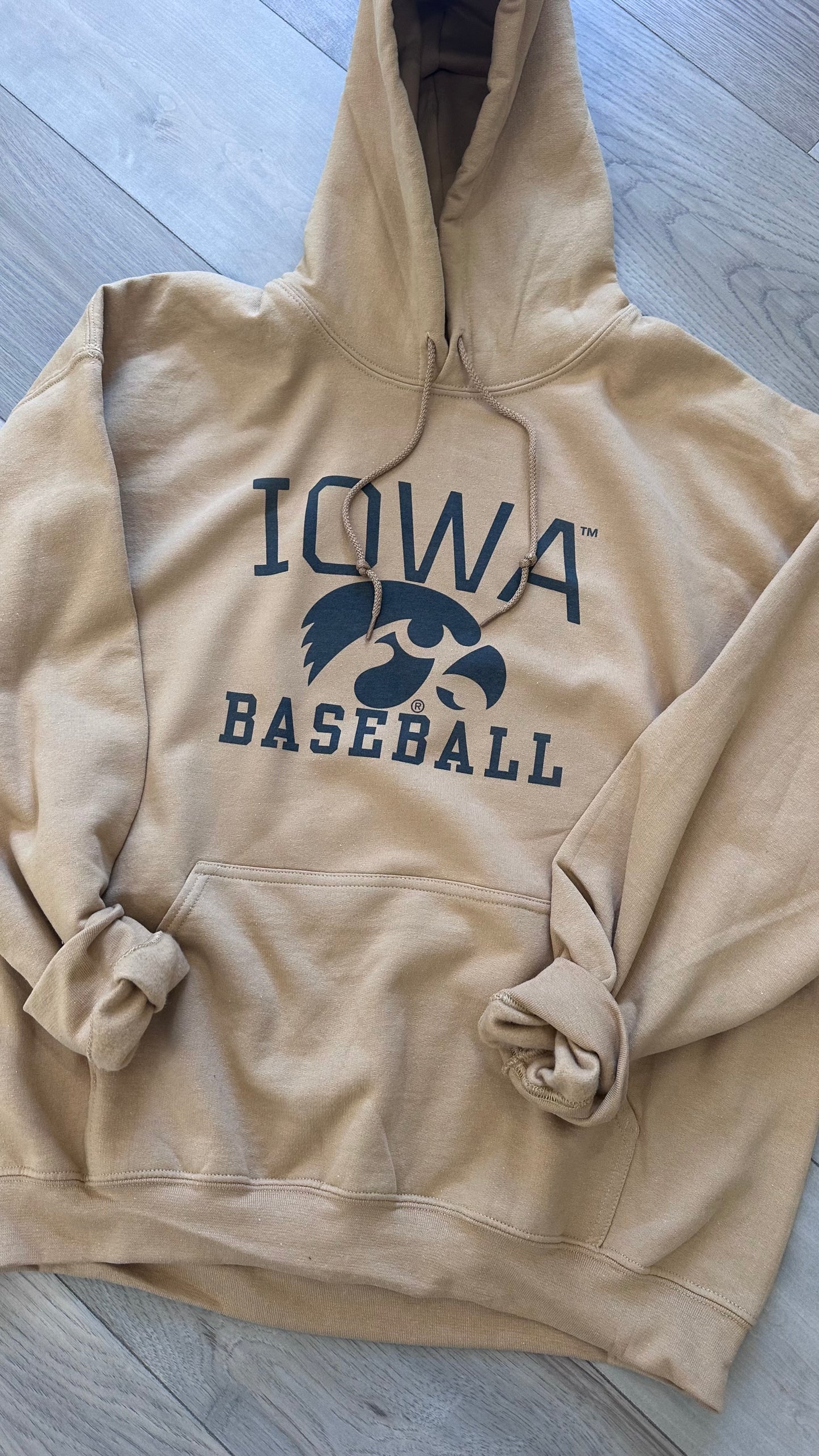 Iowa Baseball Hoodie