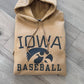 Iowa Baseball Hoodie