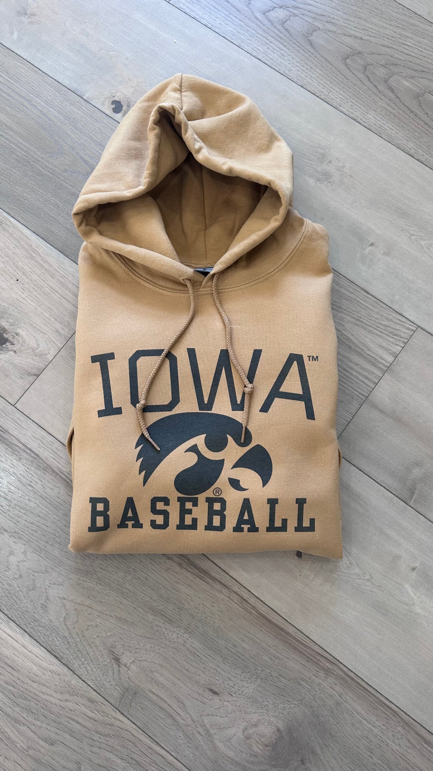 Iowa Baseball Hoodie