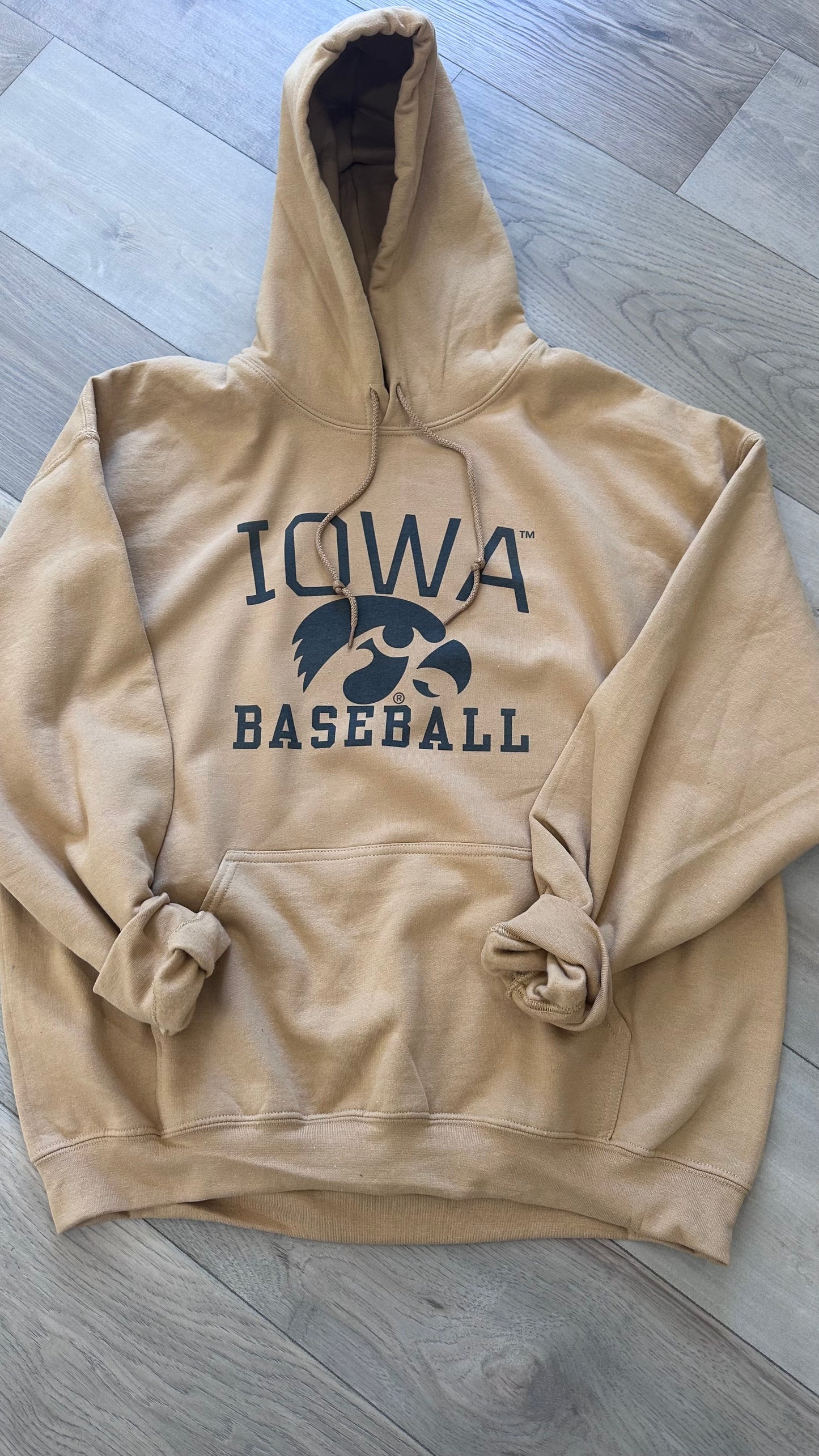 Iowa Baseball Hoodie