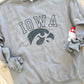 Iowa Distressed Hawk Crew